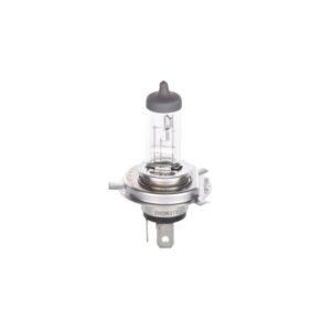 Bosch ECO H4 12V 60/55W Plus 100